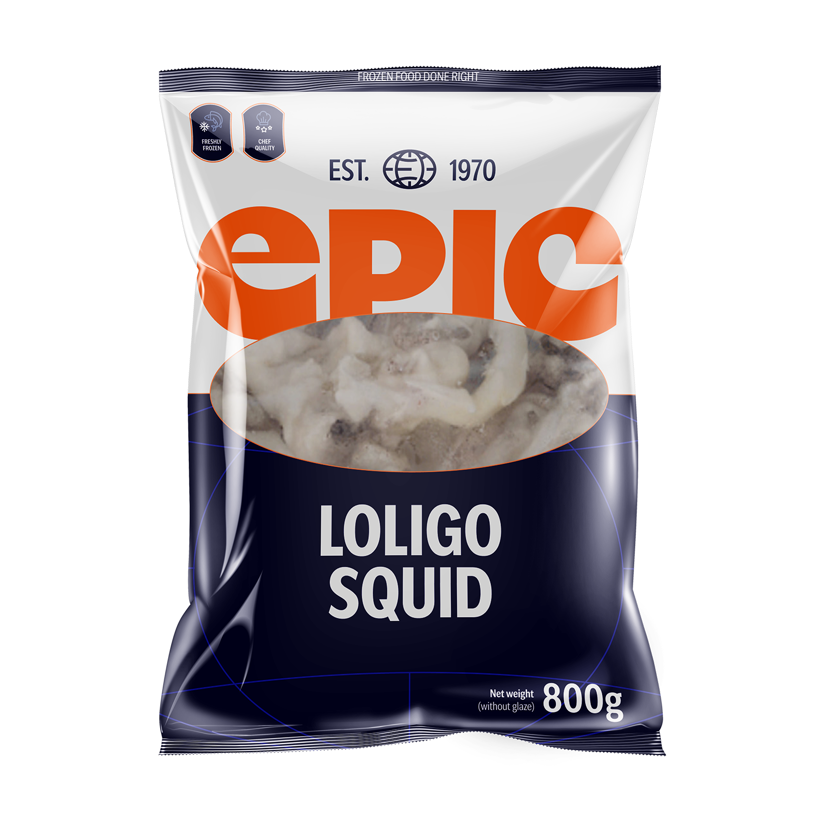 Loligo squid